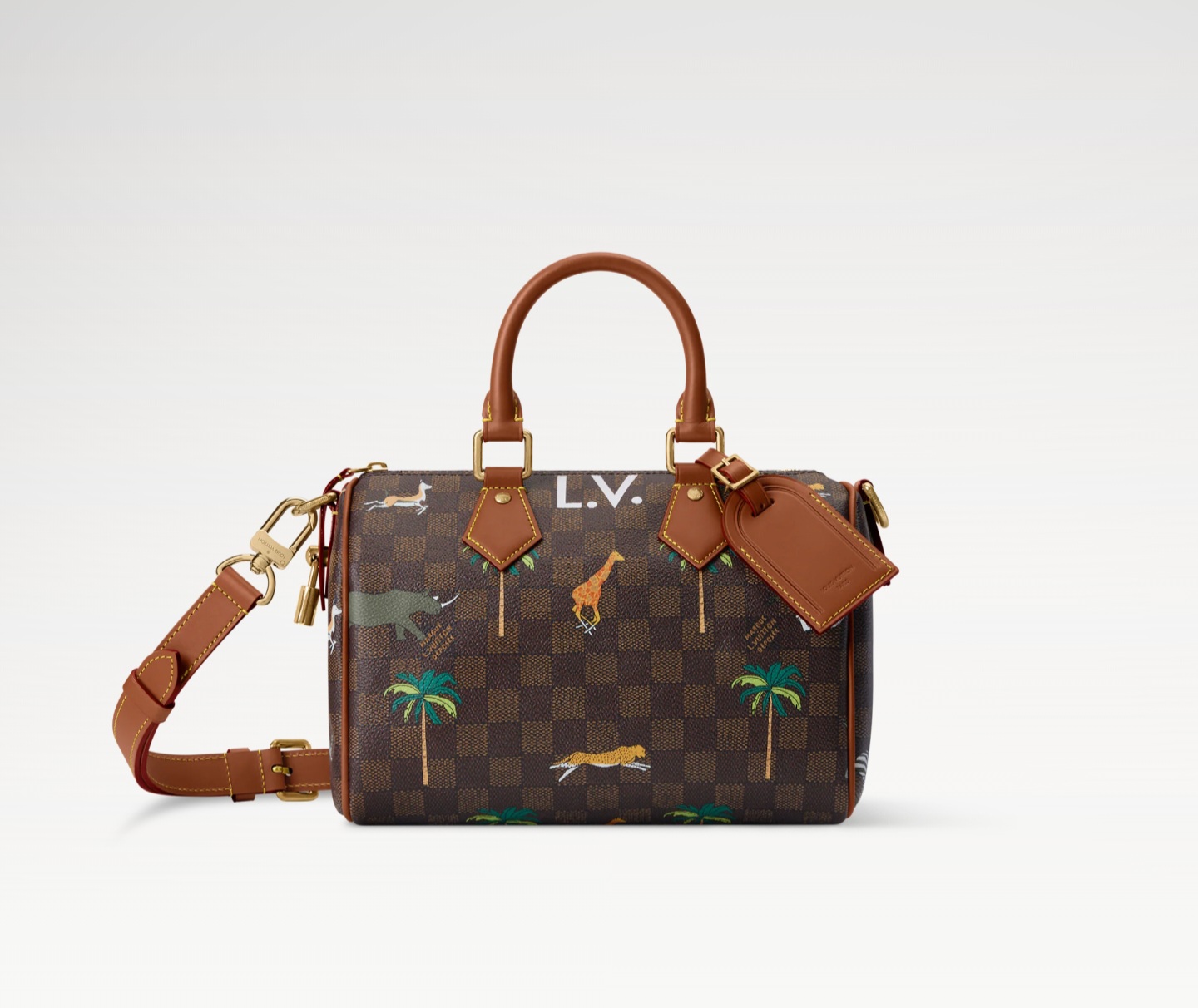 Speedy 25 Bandoulière x The Darjeeling Limited